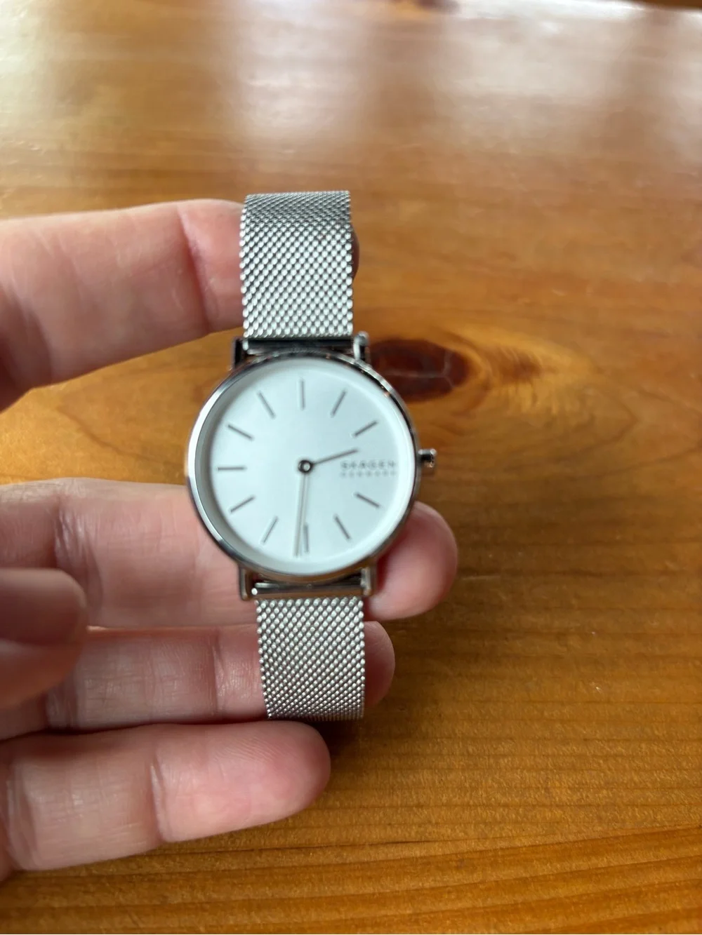 Skagen men watch